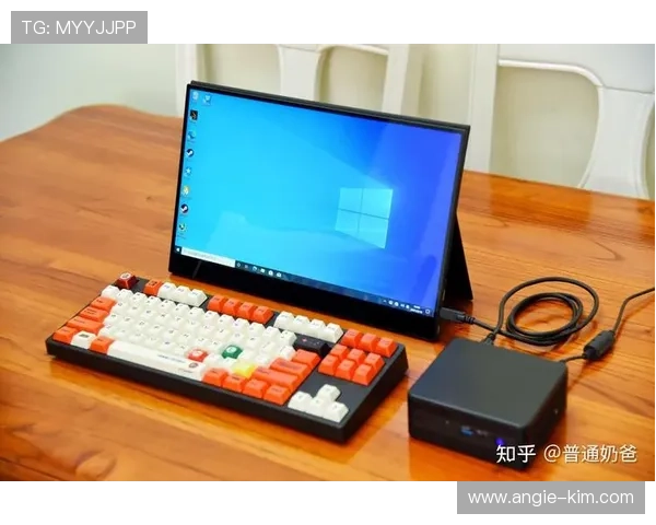 K8凯发在线官网多平台兼容性与移动端操作体验全面评测