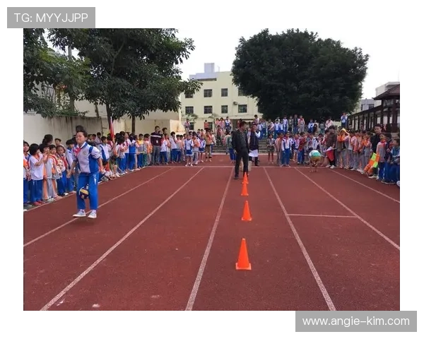 凯发滚球：如何利用数据分析提升滚球投注的精准度与盈利能力