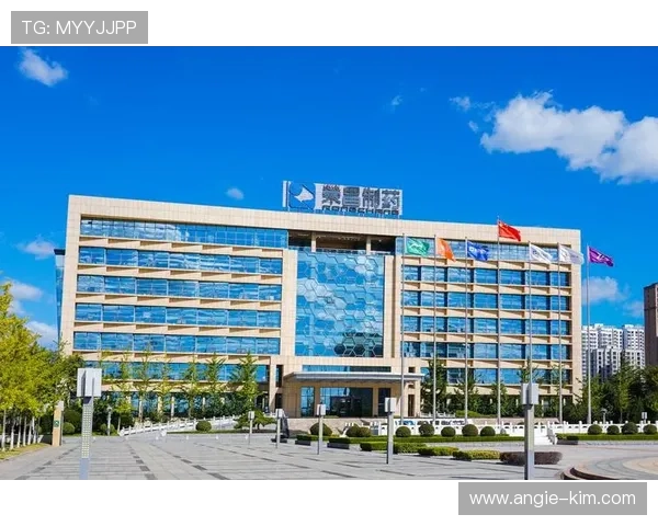 凯发天生赢家一触即发登录入口注册流程详解让你轻松开启天生赢家游戏体验 凯发天生赢家一触即发登录入口注册流程详解让你轻松开启天生赢家游戏体验